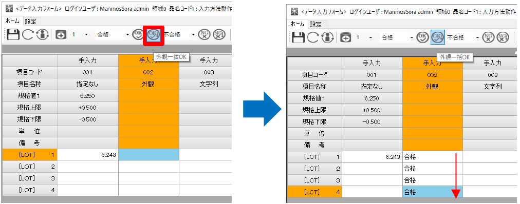 外観項目の入力画面